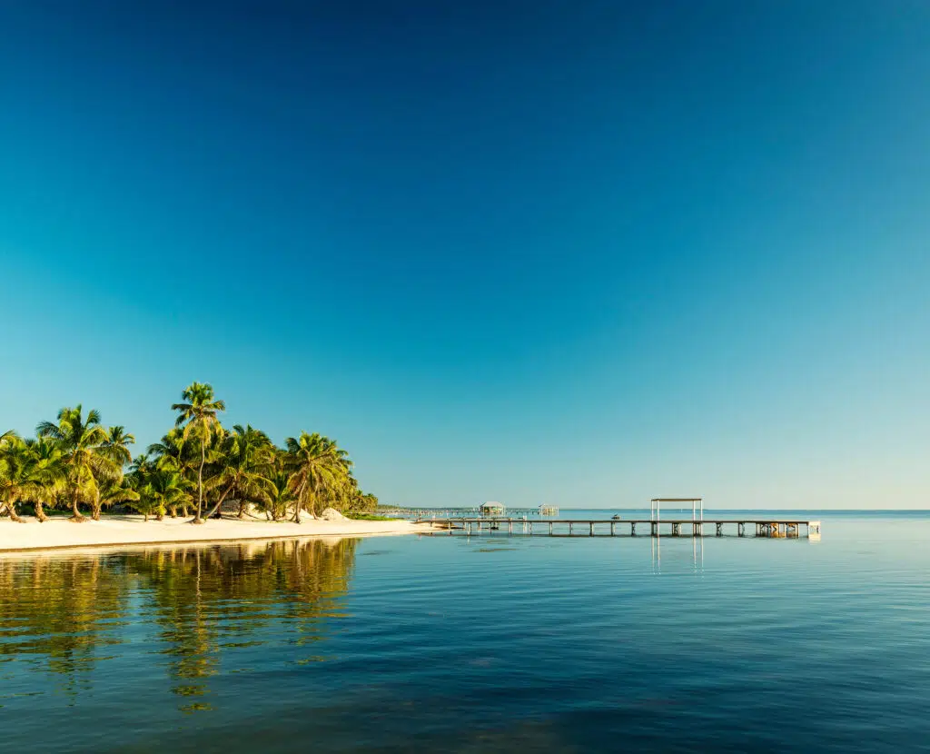 featured-image